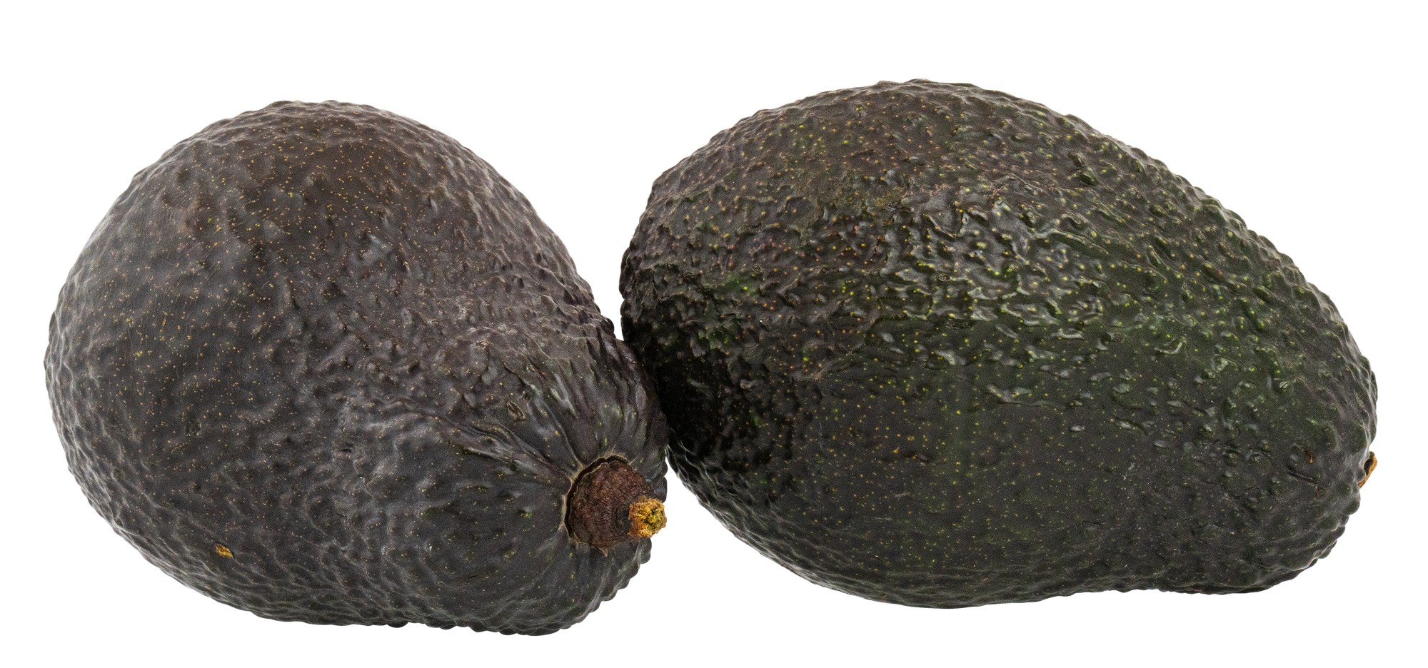 AVOCADO MODEN 2PK