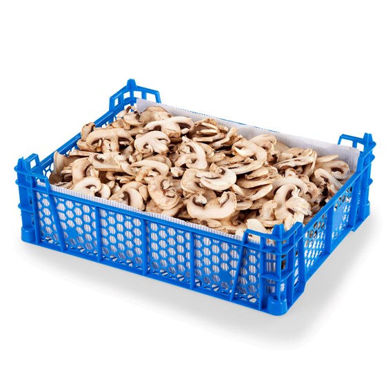 CHAMPIGNON-SOPP SKIVET KG