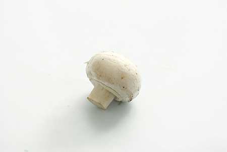 CHAMPIGNON-SOPP 250 GR.