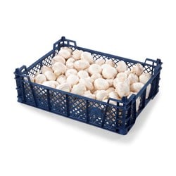 LAVPRIS SOPP CHAMPIGNON 3 KG