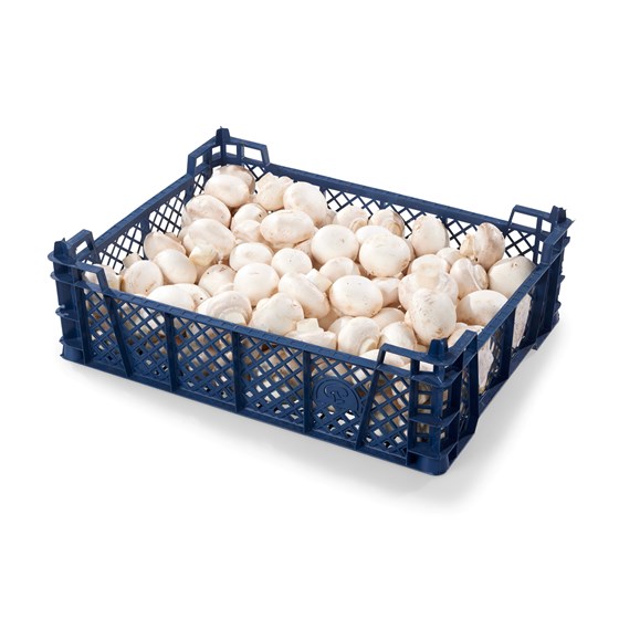 LAVPRIS SOPP CHAMPIGNON 3 KG