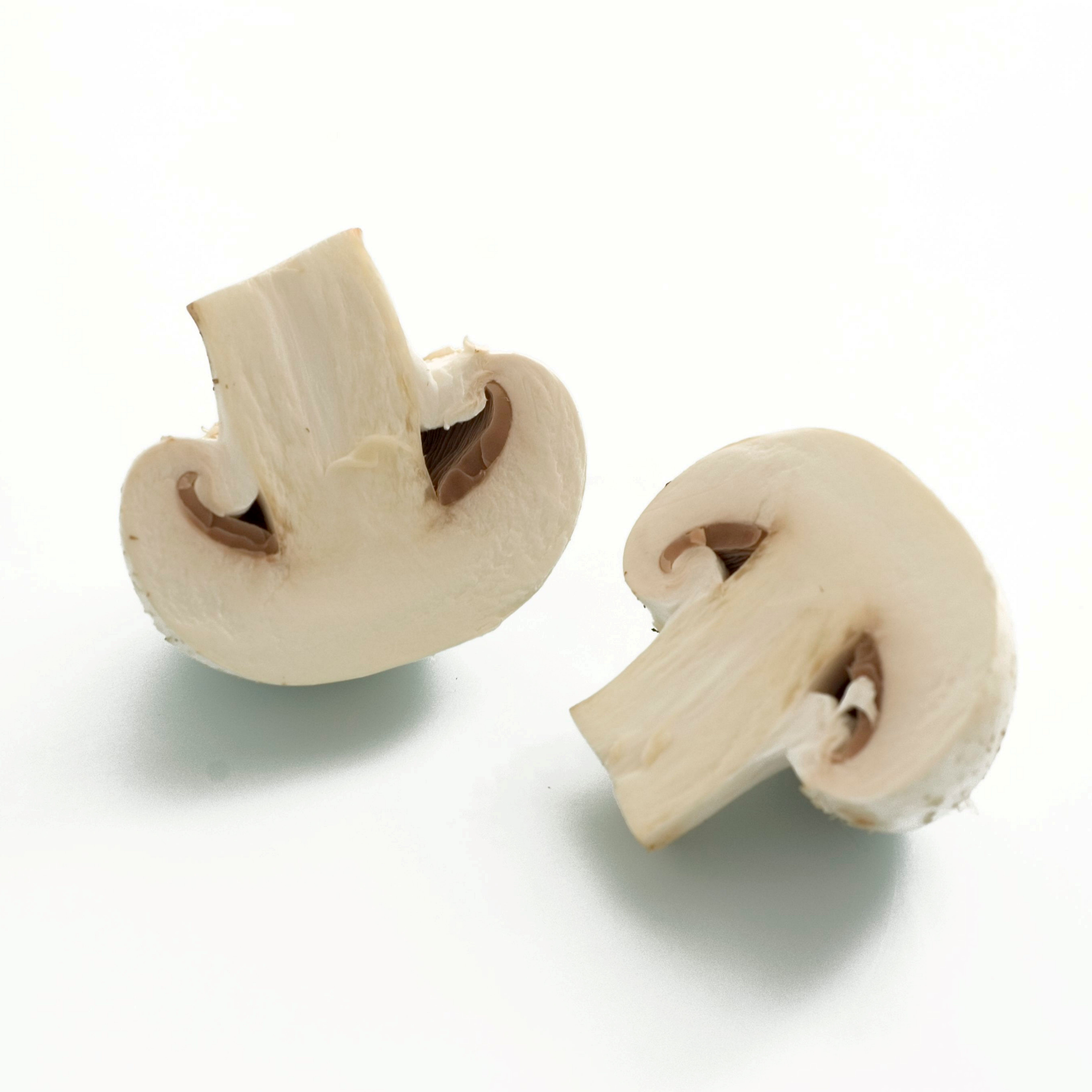 CHAMPIGNON 1 KG