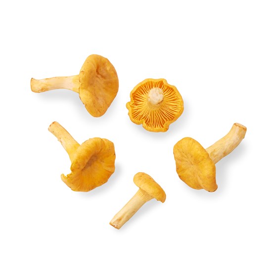 MINIKANTARELLER LØS 1 KG