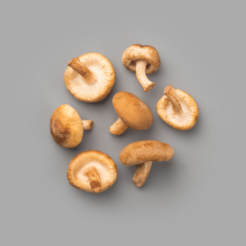 SMAKEN AV SHITAKE MINI 1,5 KG