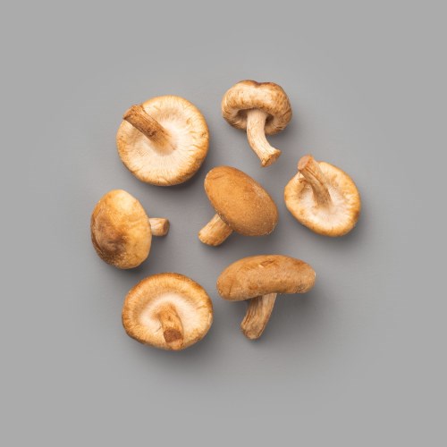 SMAKEN AV SHITAKE MINI 1,5 KG