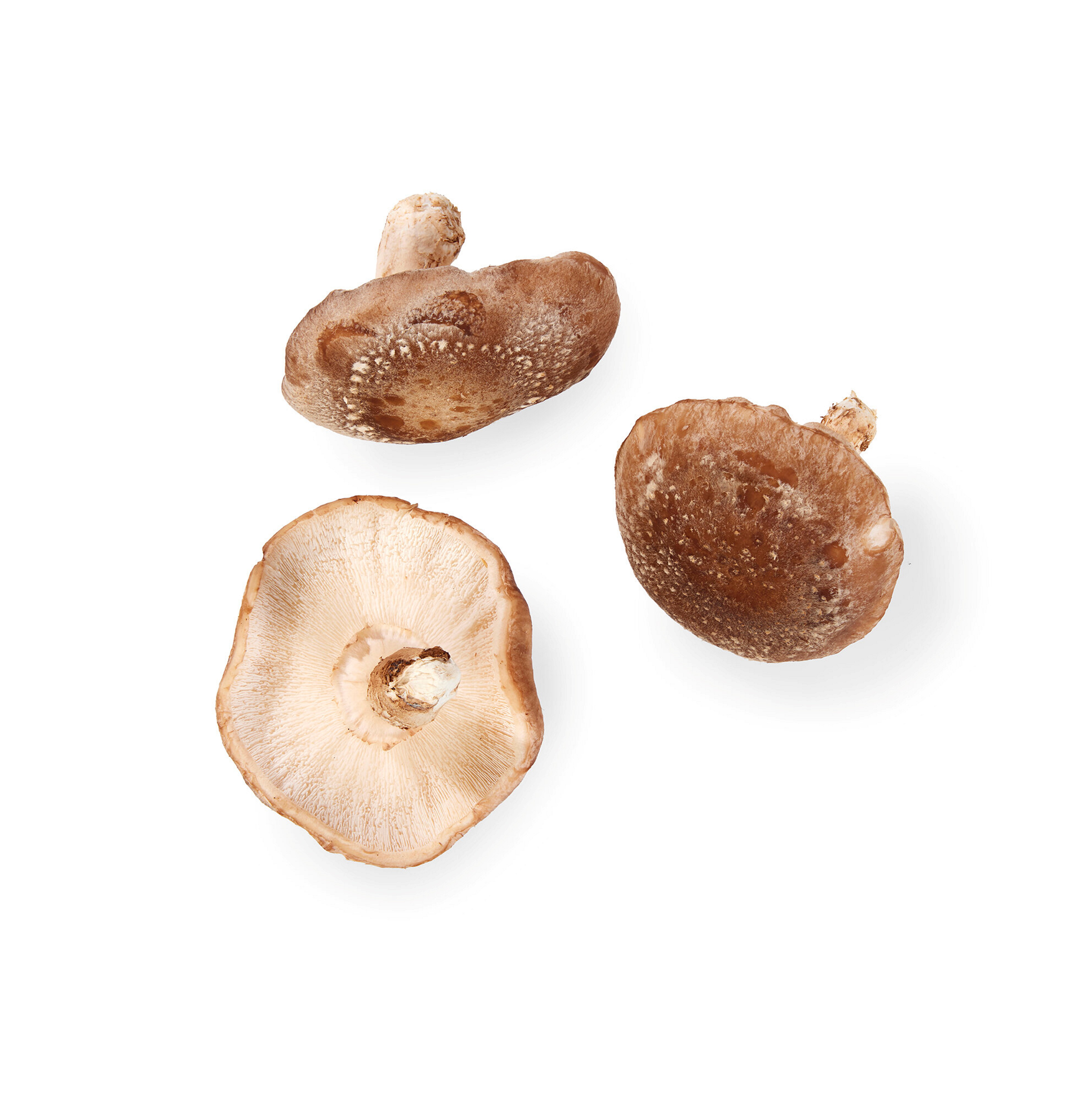 KORT & GODT SHITAKE SOPP