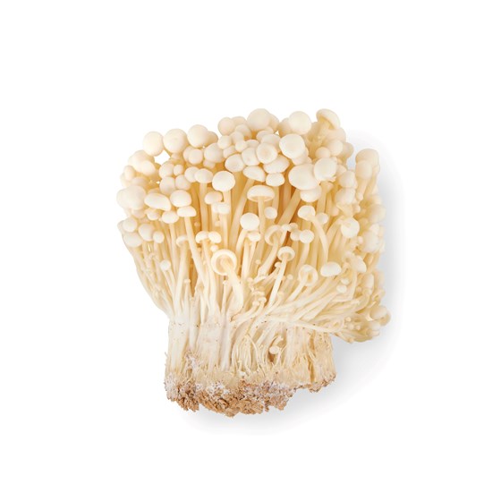 ENOKI SOPP PK.