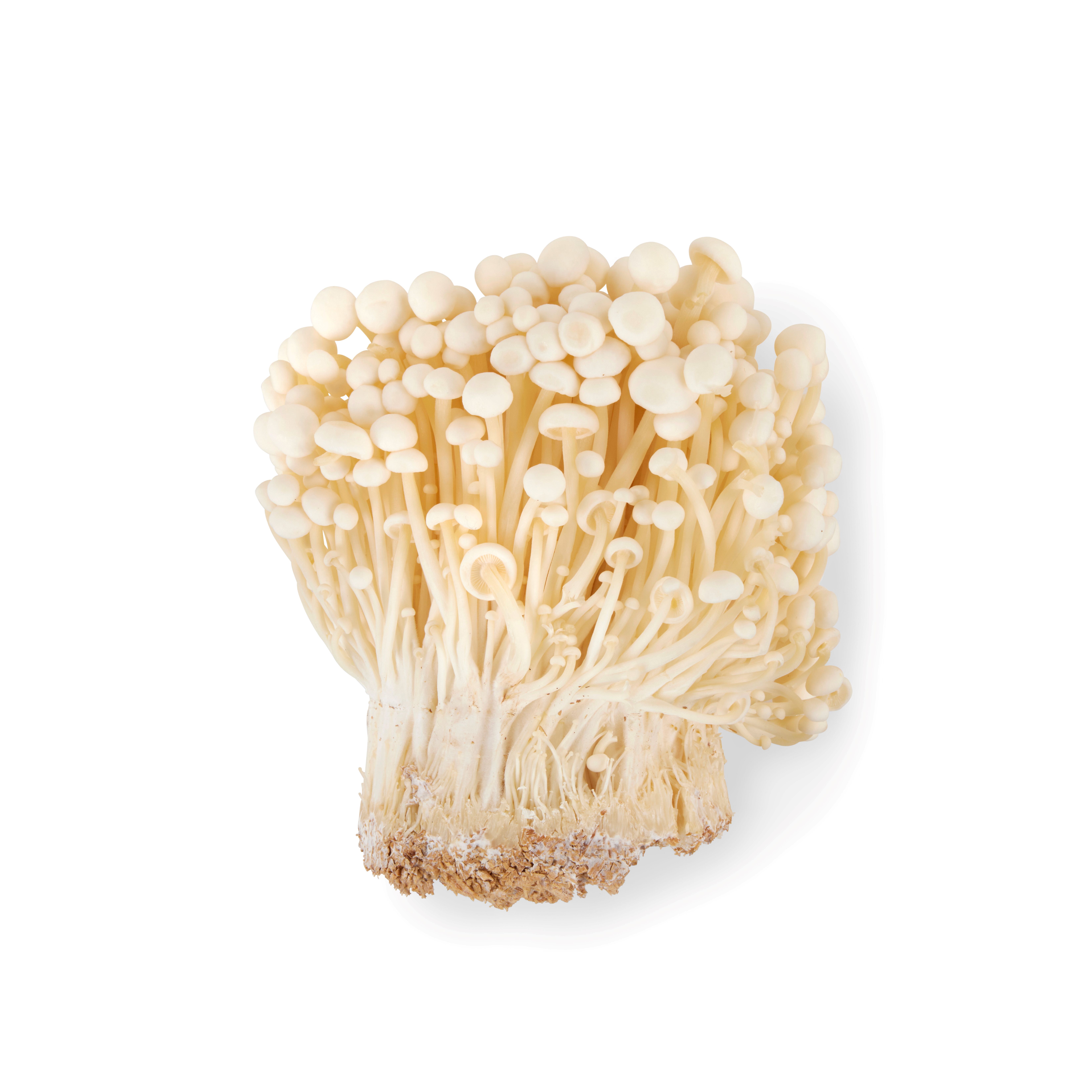 ENOKI SOPP PK.