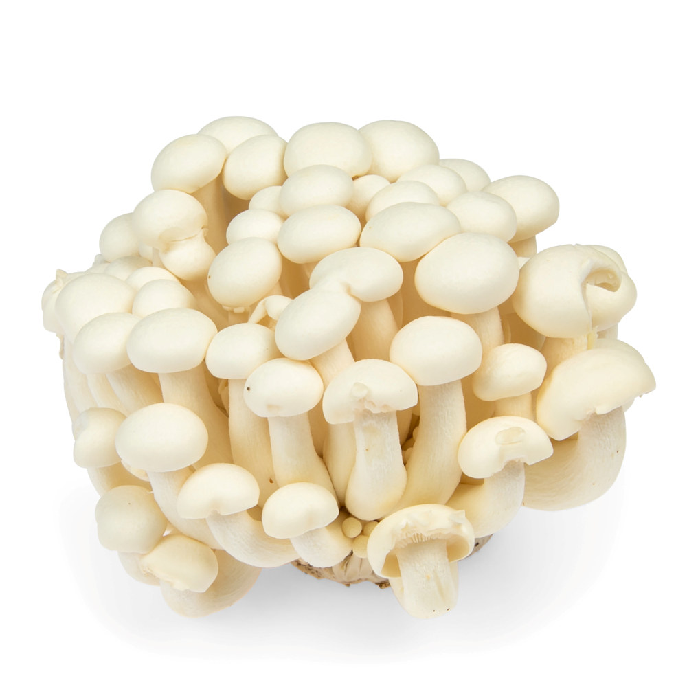 HVIT SHI-ME-GI SOPP 150 GR