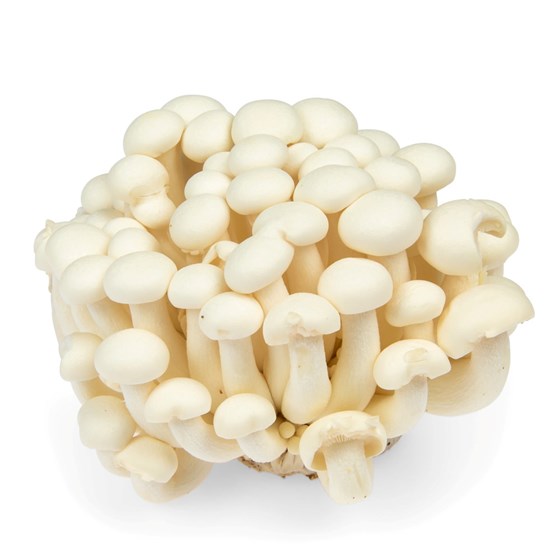 HVIT SHI-ME-GI SOPP 150 GR