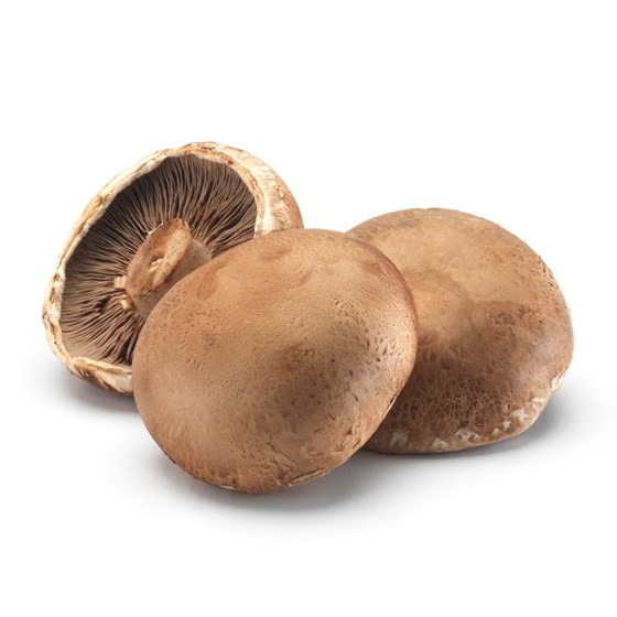 PORTOBELLO SOPP KG