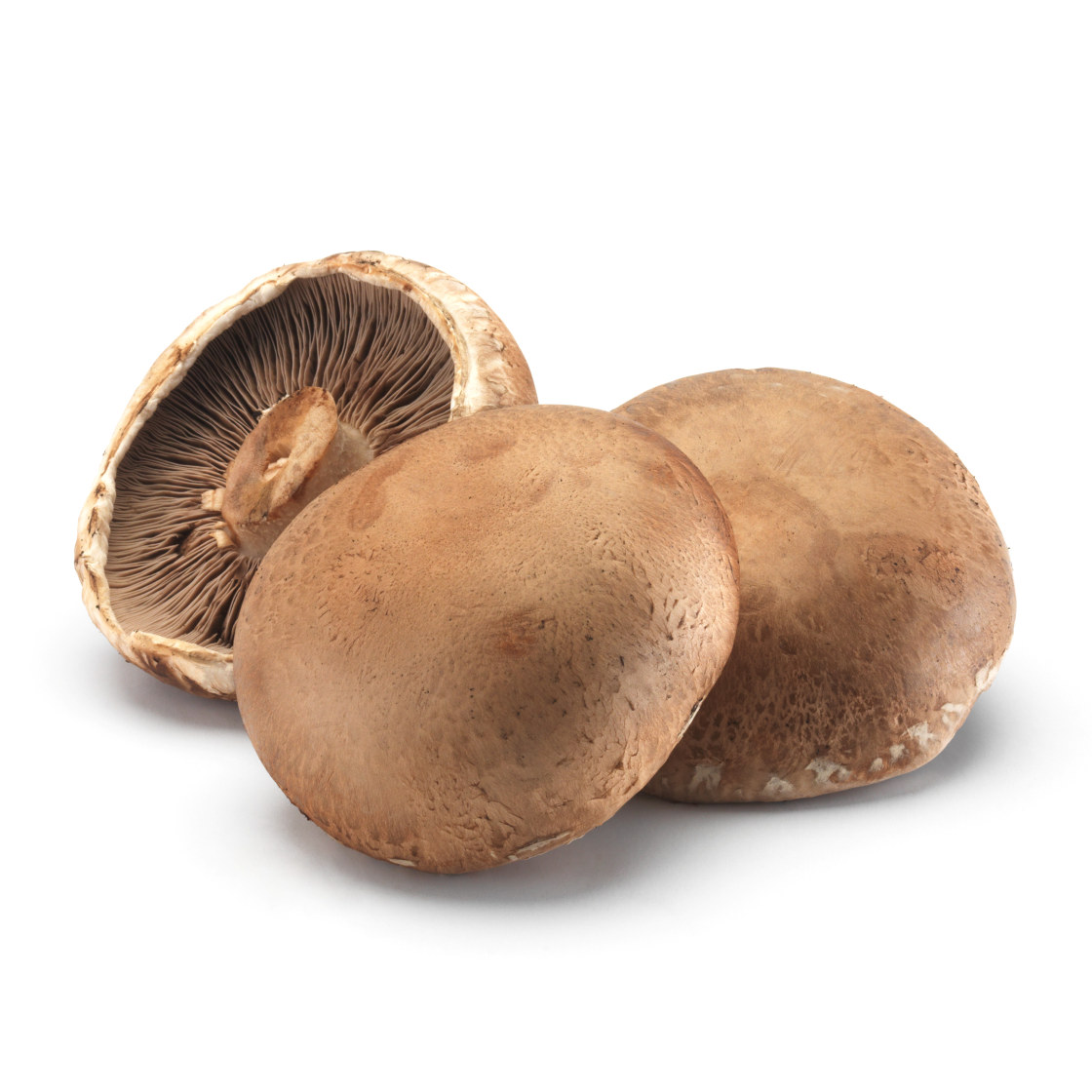 PORTOBELLO SOPP KG