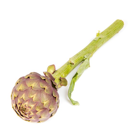 Artisjokk Mamme Romane