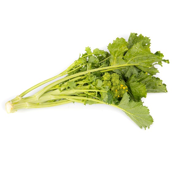 CIME DE RAPA