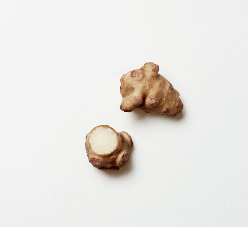 KORT & GODT JORDSKOKKER