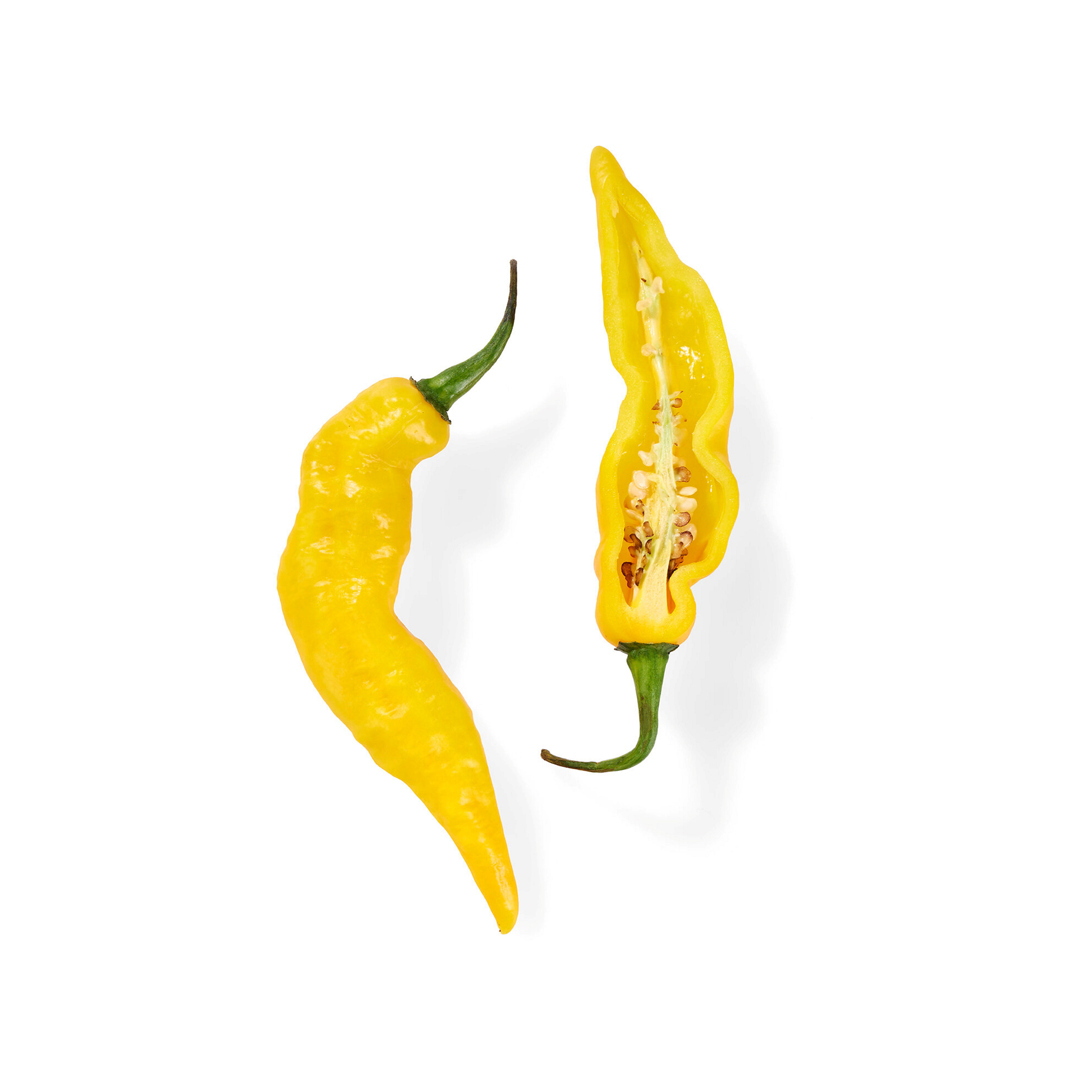 CHILI NAGA DORSET 1 KG NO