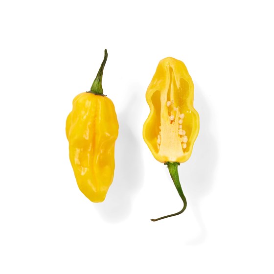 CHILI MADAME JEANETTE 1 KG NO