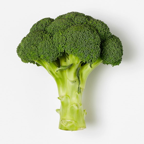 BROKKOLI 400 GR STANDARD