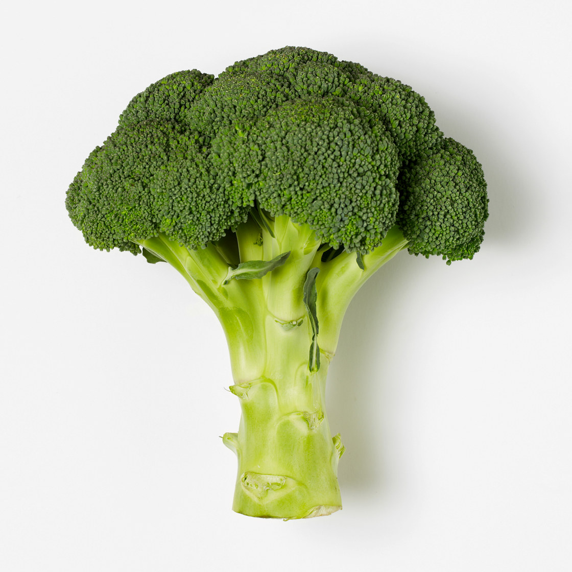 BROKKOLI 400 GR STANDARD