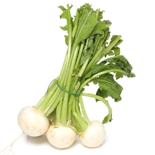 NEPE BUNT