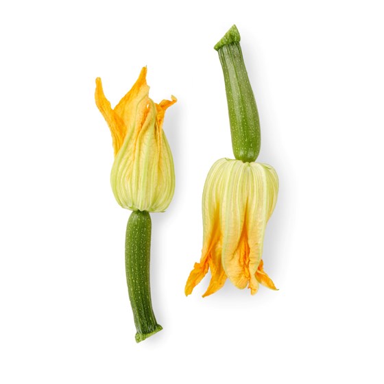 SQUASH-BLOMST POSE