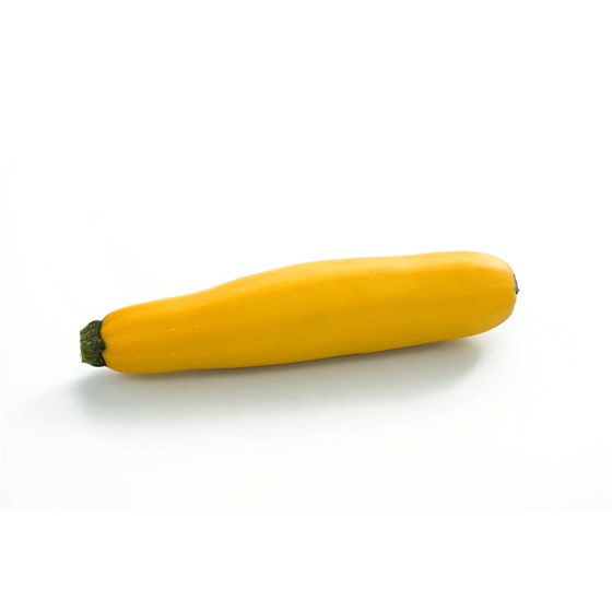 SQUASH GUL KG