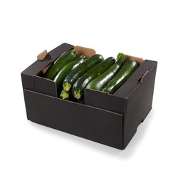 LAVPRIS SQUASH 10 KG