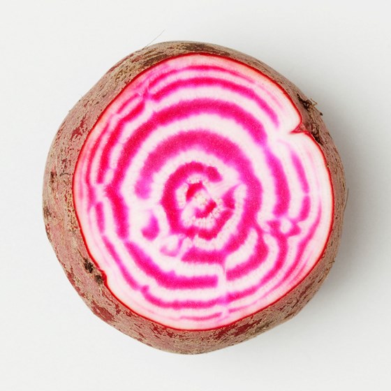 Chioggiabeter