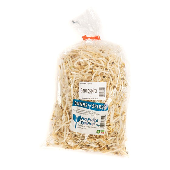 BØNNESPIRER KG