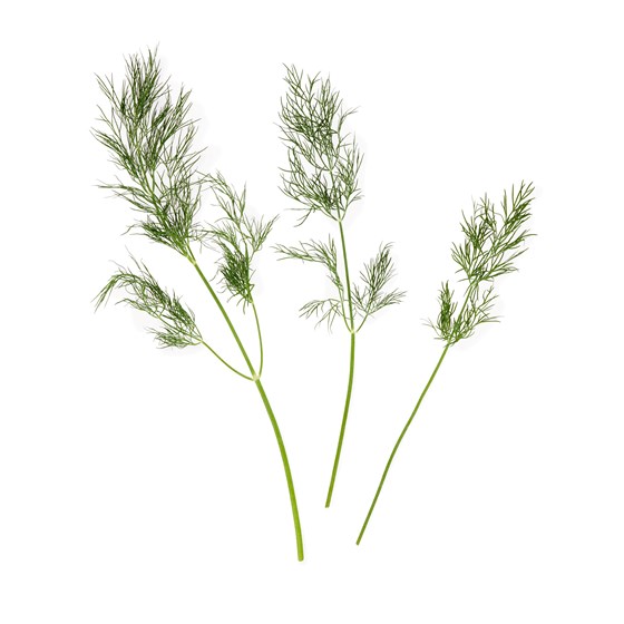 Urt dill 200 g bunt