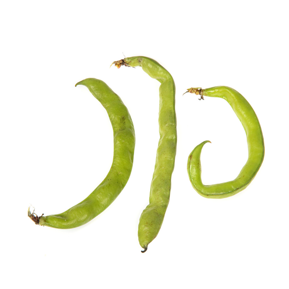 BØNNER BONDE IMP. KG