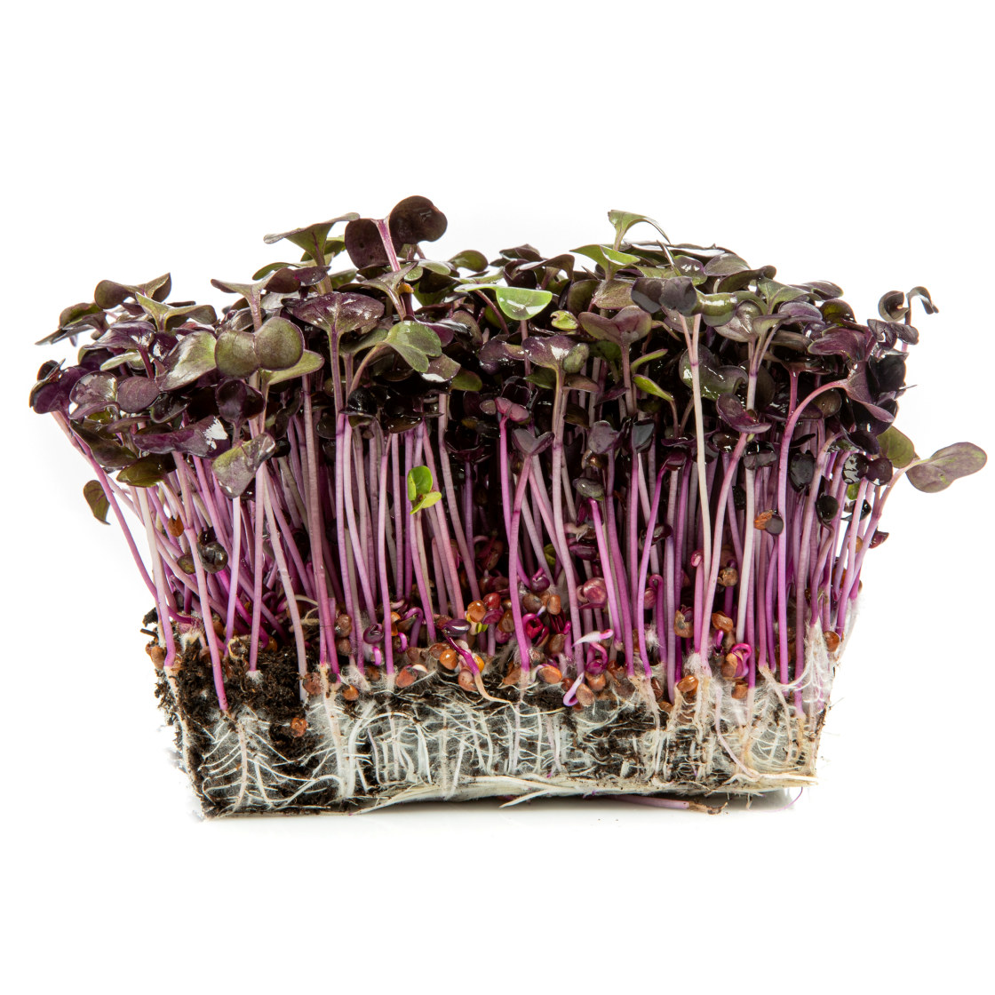 KARSE REDDIK RØD 6 STK NO