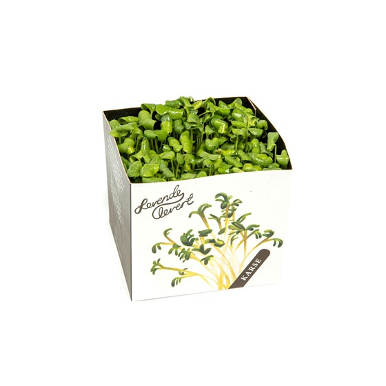 KARSE REDDIK GRØNN 6 STK NO