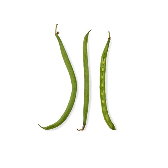 ASPARGESBØNNER HARICOT VERTS 2