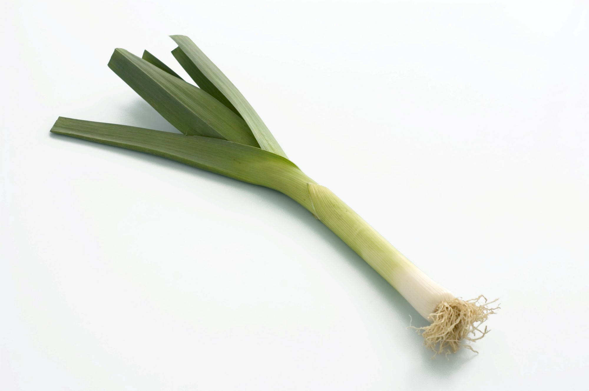 PURRELØK MINI 4x400 GR