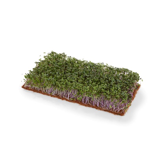 KARSE SALATMIKS 1 BRETT NO