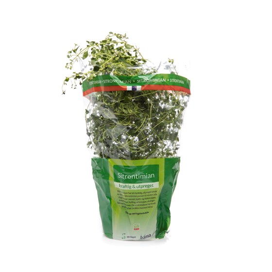 URTE SITRONTIMIAN STOR