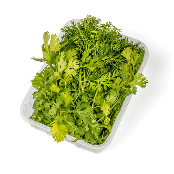 URT KORIANDER 100 GR NO