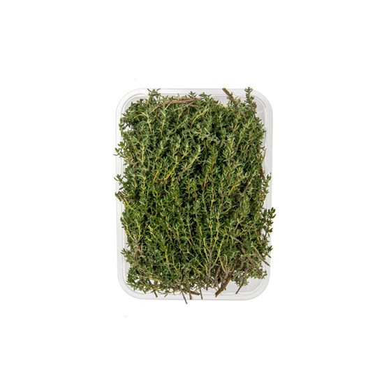 TIMIAN IMPORT 100 GR