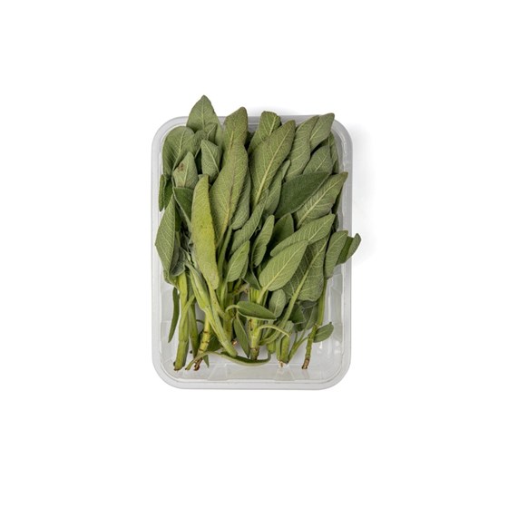 SALVIE IMPORT 100 GR