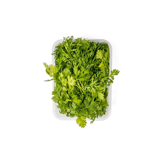 KORIANDER IMPORT 100 GR