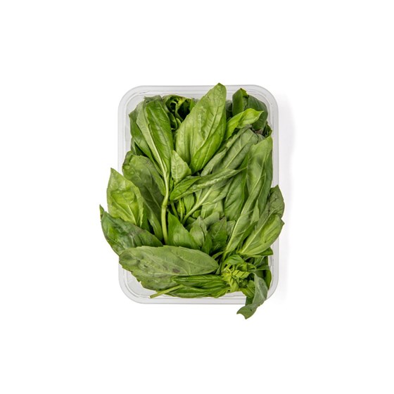 BASILIKUM IMPORT 100 GR