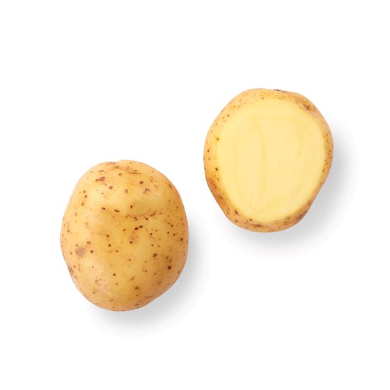POTET 1,5 KG