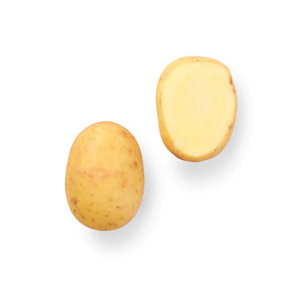 NYPOTET 5 KG N.