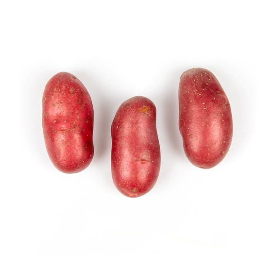 POTET B&H RØDE 10KG 32-38 MM