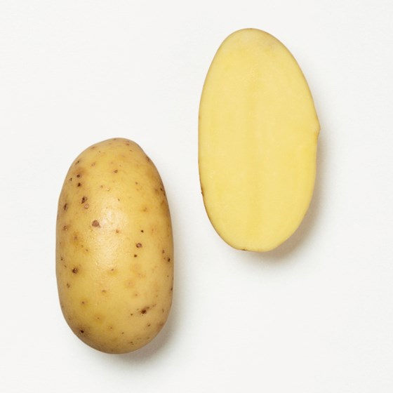 POTET 10 KG VASKET MANDEL