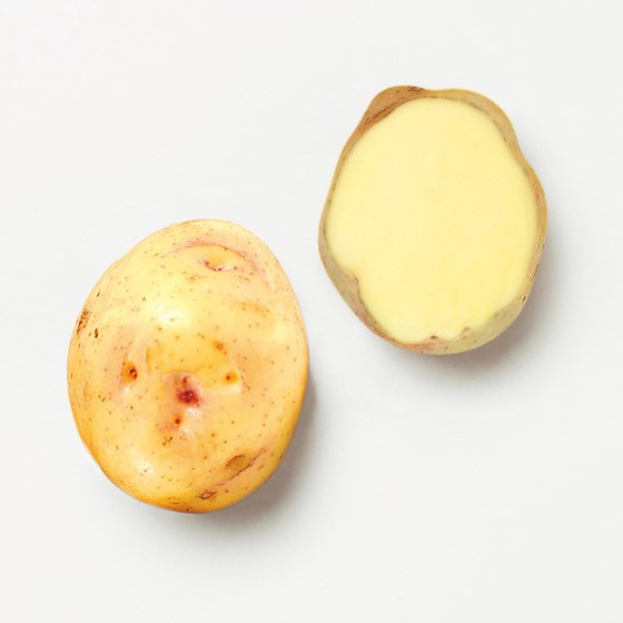 POTET 10 KG VASKET GULLØYE