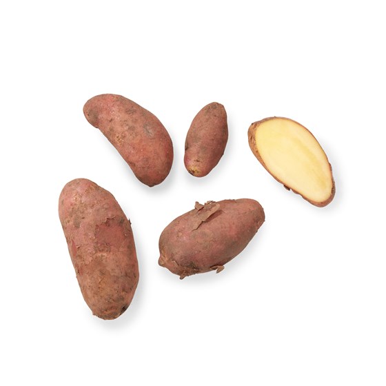 Kort & Godt Gyda’s Jordeple Petit 5 kg