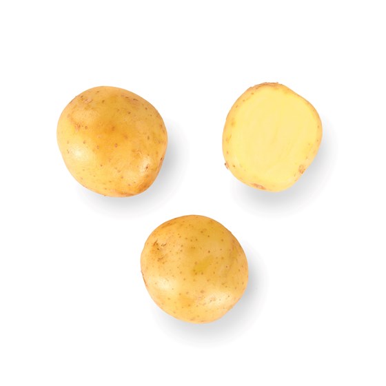 POTET SMÅPOTET 15x650 GR POSE