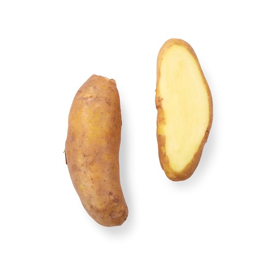 Kort & Godt Gyda’s Jordeple Young 5 kg